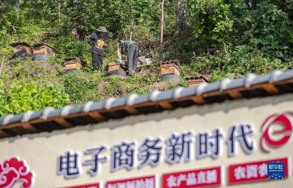 捕鱼游戏大厅